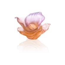 Daum Tischblume Arum Rose