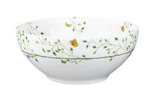 Raynaud Histoire Naturelle Salatschüssel