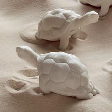 Nymphenburg Mona turtle