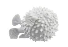 Nymphenburg Hedgehog fish, white