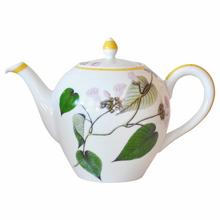 Bernardaud Jardin Indien coffee/teapot