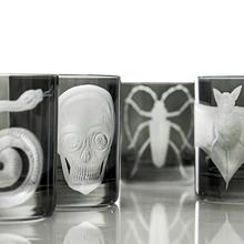 Artel Cabinet of Curiosities double old fashioned tumblers