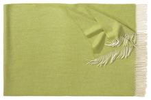 Eagle Products Plaid Boston, hellgrün