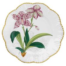 Pinto Histoires d'Orchidées
