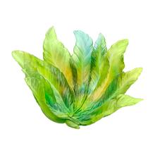 Daum Bornéo bowl, l 35 cm