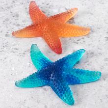 Daum Mer de Corail starfishes