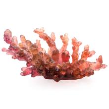 Daum Schale Mer de Corail, L 36,5 cm, rot