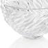 Lalique Schale Fourrure, klar - Bild2
