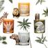 Artel African Safari glasses - Picture2