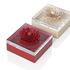 Riviere Dahlia leather boxes