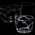 Theresienthal Ferdinand tumbler & carafe