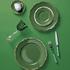 Raynaud Mazurka Green - Picture2