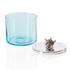 Greggio Starfish glass jar - Picture2