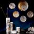 Wedgwood Gilded Muse - Bild2