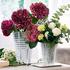 Baccarat Eye rectangular vases - Picture2