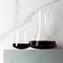 Sieger by Ichendorf Stand Up carafe, large, clear