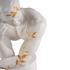 Lladró Reflections of Nature - Him sculpture, white-gold - Picture2