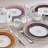 Bernardaud Soleil Levant - Picture2