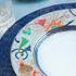 Raynaud Imari - Picture2