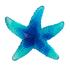 Daum Mer de Corail starfishes