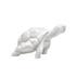 Nymphenburg Mona turtle - Picture2