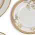 Wedgwood Vera Wang - Lace Gold - Picture2