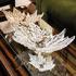 Lalique Champs-Elysées bowls, l 46 cm - Picture2