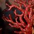 L'Objet Coral bookends - Picture2