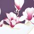 Haviland Magnolia - Picture2