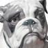 Lladró Skulptur Bulldog with Lollipop