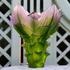 Daum Jardin de Lotus vase, h 35,5 cm - Picture3