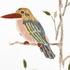 Eri Textiles Birds table linen - Picture3