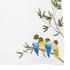 Porthault Jungle Birds table linen - Picture3