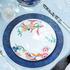 Raynaud Imari - Picture3