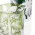 Artel Primeval Palms double old fashioned tumblers
