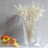 Lalique Pivoines vase, h 35 cm - Picture3