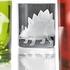 Artel Dinosaur double old fashioned tumblers