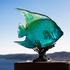 Daum Mer de Corail royal Angelfish , turquoise - Picture3