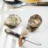 Arcahorn Belon oyster cutlery