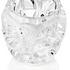Lalique Tourbillons vases, h 21 cm