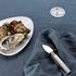 Alessi Colombina Fish oyster knife