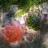 Daum Jardin de Lotus deco flowers - Picture3