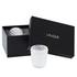 Lalique Mossi clear votives, set of 2