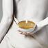 Raynaud Italian Renaissance Gold - Picture3