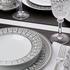 Haviland Tiara White/Platinum - Picture3