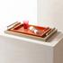 Giobagnara Elie Saab leather trays - Picture3