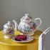 Gien Poesie - Picture4