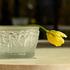 Lalique Bacchantes bowl - Picture4
