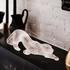 Lalique Zeila panther