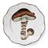 Pinto Les Champignons - Picture4